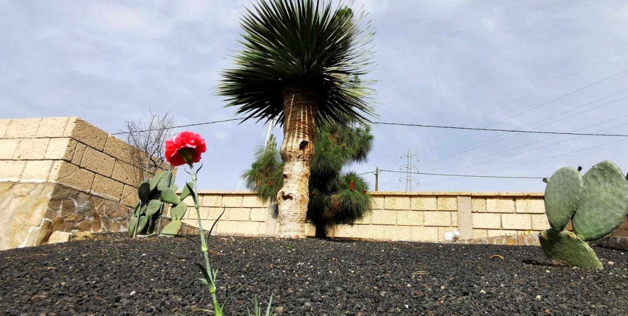 Villa Casa Del Sur, En El Sur De Tenerife Granadilla De Abona Exterior foto
